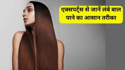 एक ही जगह रुक गई है बालों की ग्रोथ? नारियल के तेल में इस पाउडर को मिलाकर करें स्कैल्प की मसाज, एक्सपर्ट्स से जानें कैसे बढ़ाता है हेयर ग्रोथ