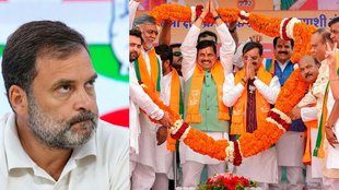 Lok Sabha Elections, MP Lok Sabha Elections, Lok Sabha Elections 2024