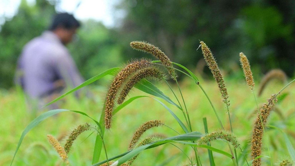 Kisan, Farmer Protest, Kisan Andolan