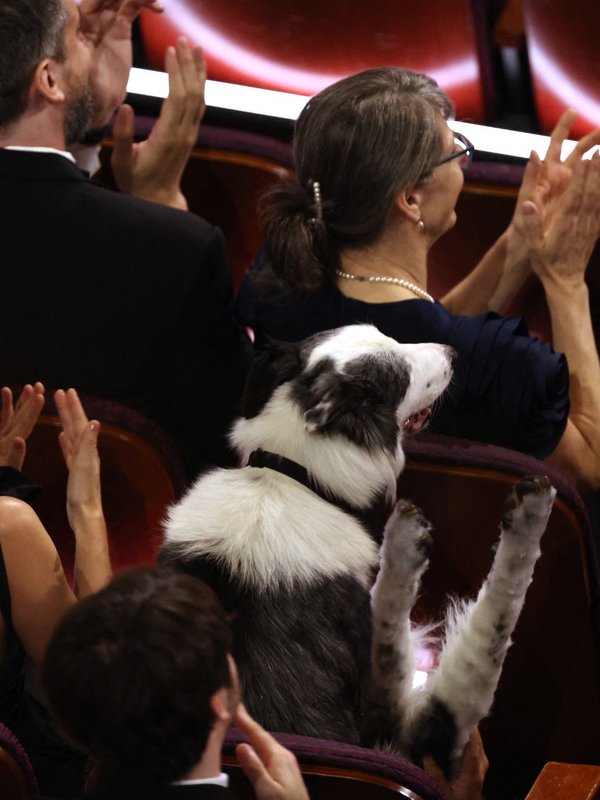 Messi Anatomy of a Fall