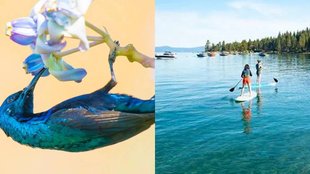 Nature, Dunia Mere Aage, Pleasureness, Society