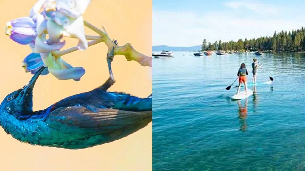 Nature, Dunia Mere Aage, Pleasureness, Society