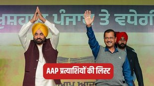aap candidate list 2024, aap candidate list 2024 punjab, punjab aap candidate list 2024