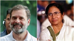 TMC, Mamata Banerjje, Lok Sabha Chunao 2024, Rahul Gandhi, Congress