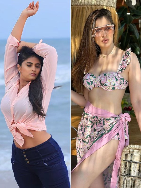 South Indian Actresses Made Debut in Bhojpuri Cinema, South Indian Actress Who Works in Bhojpuri