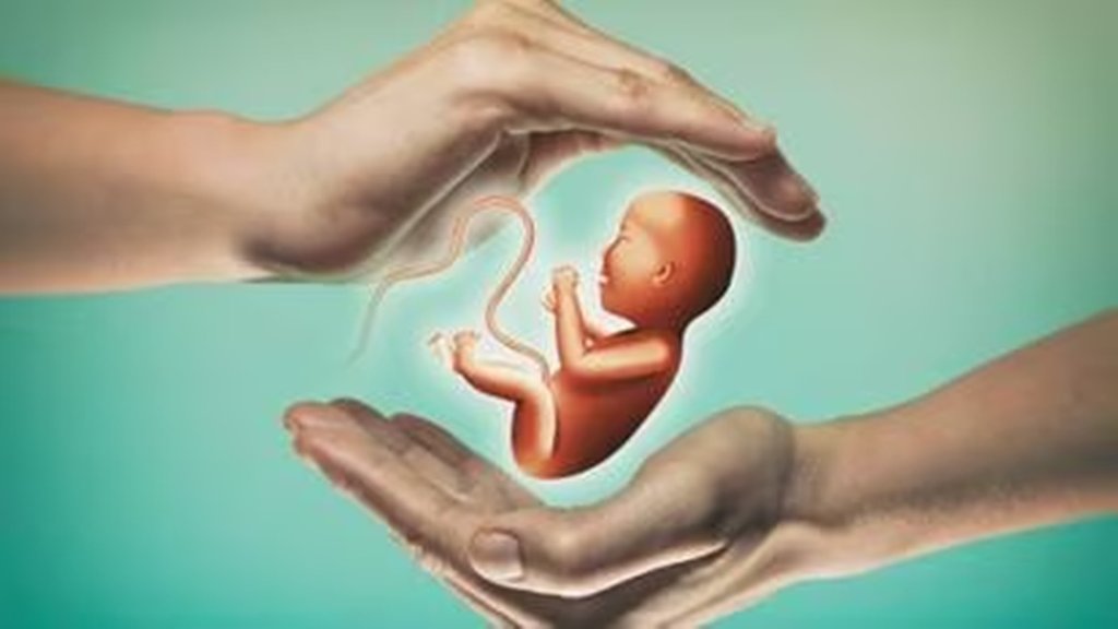 Test tube baby| Army men