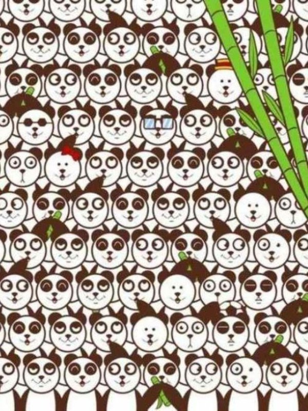 Optical Illusion Eyes