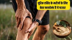 हाई यूरिक एसिड से परेशान लोग सोने से पहले दूध में मिलाकर पी लें ये पाउडर, जोड़ों में जमा टॉक्सिन और दर्द से मिल जाएगा छुटकारा