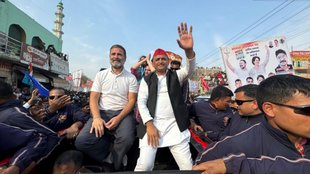 akhilesh yadav | rahul gandhi | loksabha elections |