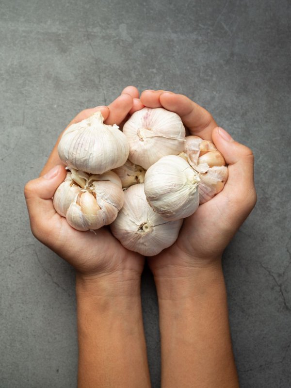 benefits of garlic with hot water