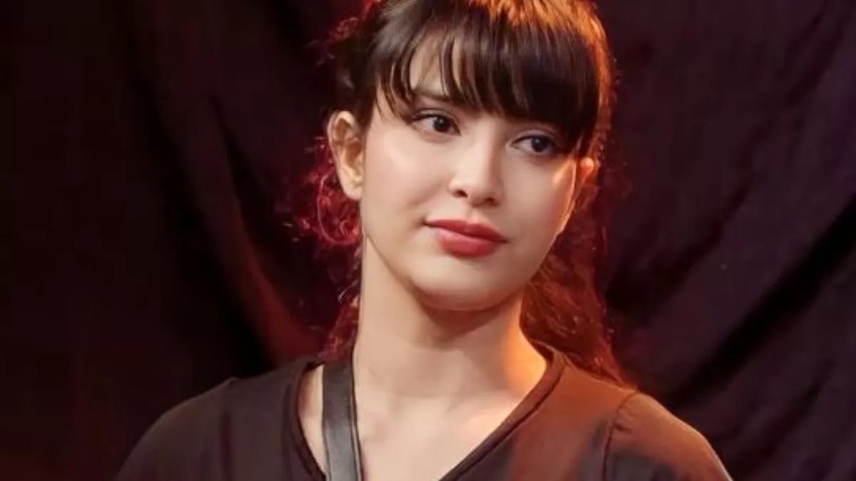 khanzaadi, bigg boss 17