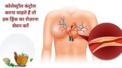 बुरे Cholesterol को कंट्रोल करना चाहते हैं तो एक कप ये ड्रिंक पी लें, नसों की गंदगी हो जाएगी साफ, कोलेस्ट्रॉल होगा जड़ से खत्म
