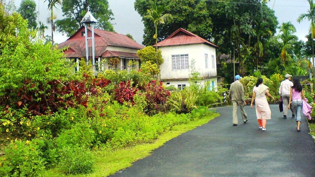 clean village| Health