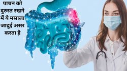 Nutrition alert: 100 ग्राम लौंग ढेर सारे पोषक तत्वों का है खज़ाना, पाचन रहता है दुरुस्त और डायबिटीज का भी है रामबाण इलाज