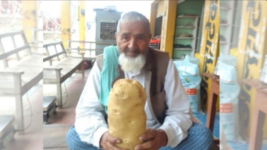 do kilo ka aloo, do kilo potatoes