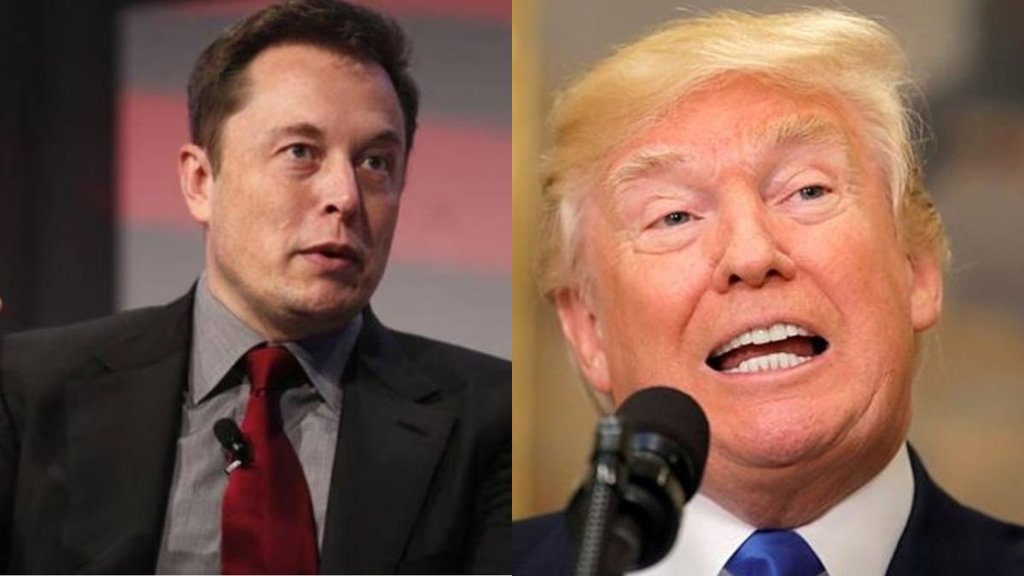 donald trump, elon musk