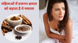 International women’s day 2024: क्या दालचीनी का सेवन महिलाओं के लिए वरदान हैं? बॉडी पर ये मसाला कैसे करता है असर, एक्सपर्ट से जानिए