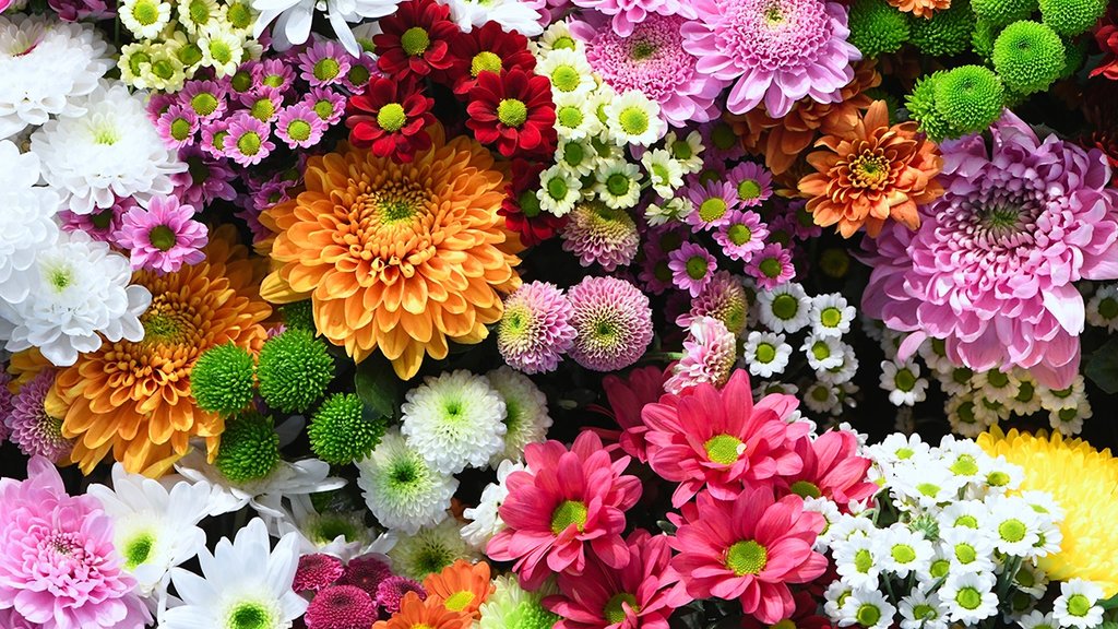 flower| fragnence
