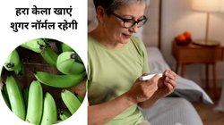 डायबिटीज को कंट्रोल करना चाहते हैं तो Green Banana खाएं, वजन भी रहेगा कंट्रोल, बॉडी को मिलेगा ढेर सारा पोषण