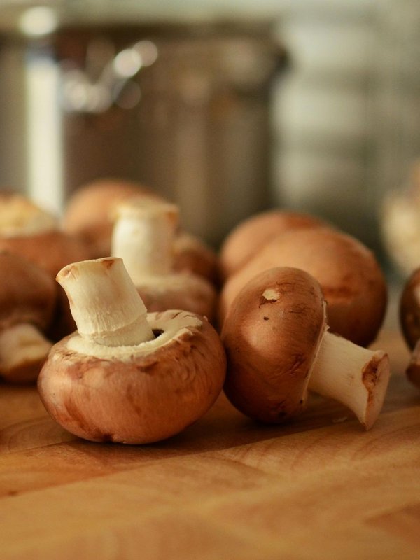 hat is the best time to eat mushroom