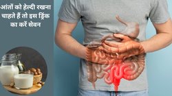 पेट की सफाई नहीं होना, गैस, एसिडिटी और आंतों में दर्द व सूजन होना IBS के हो सकते हैं लक्षण, इस आयुर्वेदिक ड्रिंक का करें सेवन, जल्द मिलेगा दर्द से छुटकारा