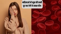 शरीर में हो रही है खून की कमी? रोज ब्रेकफास्ट से पहले खाना शुरू कर दें ये खास चीज, एक्सपर्ट ने बताया 1 महीने में बढ़ जाएगा हीमोग्लोबिन का लेवल