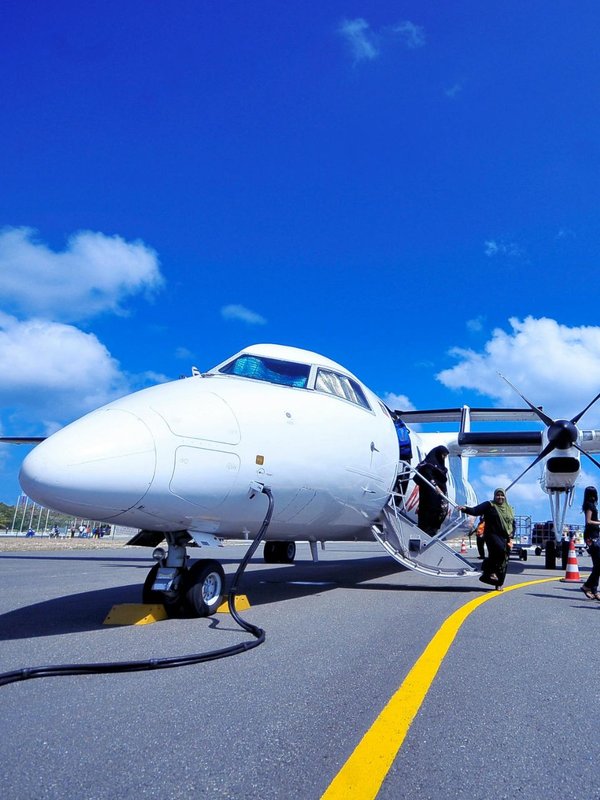 indian who have there own private jet