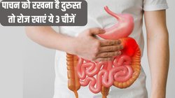 खराब डाइजेशन, कब्ज, गैस और एसिडिटी से परेशान हैं? रोज खाएं एक्सपर्ट की बताई ये 3 चीजें, दोबारा नहीं होगी पाचन से जुड़ी परेशानी