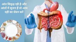 आंतों के लिए अमृत हैं ये 2 प्रोबायोटिक्स फूड्स, पेट की सूजन, दर्द और कब्ज का करेंगे इलाज, एक्सपर्ट से जानते हैं फायदे