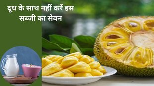 food conbination, milk and kheer, avoid Jackfruit with milk and kheer, Jackfruit and milk combination, avoid Sattu with Milk, acidic foods avoid with milk,citrus fruits