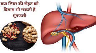 peanuts risks, how to consume peanuts, indianexpress.com, aflatoxin, liver damage,