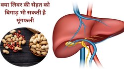 क्या मूंगफली का अधिक सेवन लिवर को डैमेज कर सकता है, कितना खाएं कि Liver रहे हेल्दी, एक्सपर्ट से जानते हैं जवाब