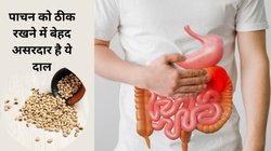 Nutrition alert: 100 ग्राम लोबिया का सेवन कैसे आपके पाचन से लेकर दिल तक की सेहत के लिए है असरदार, एक्सपर्ट से जानिए