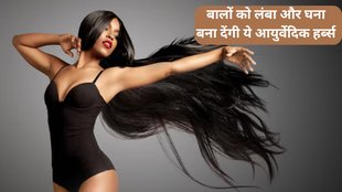 Long Hairs । Hair Care । hair herbs