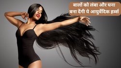 एक ही जगह रुक गई है बालों की ग्रोथ? हफ्ते में 2 दिन इस तरह करें इन आयुर्वेदिक हर्ब्स का इस्तेमाल, खूब लंबे और मजबूत हो जाएंगे बाल