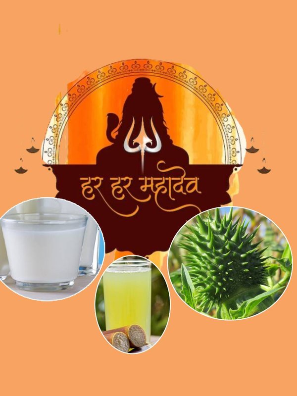 shivratri 2024, mahashivratri 2024, mahashivratri