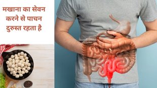 makhana in diabetes, makhana in constipation, Makhana for indigestion and acidity, Who should eat makhana, makhana benefits for health, makhana benefits in hindi, makhana benefits,