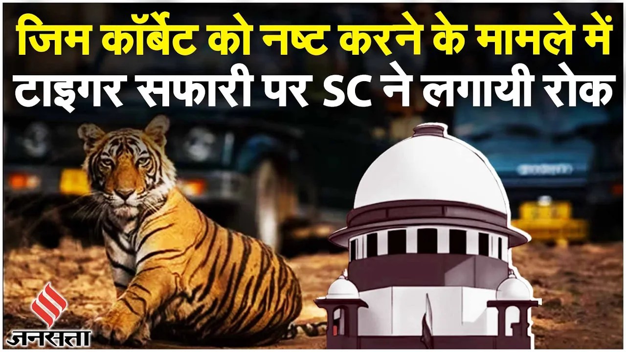 Corbett National Park: Jim Corbett Tiger Safari की अनुमति दी जा सकती है, Supreme Court ने कहा?