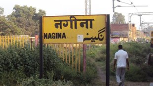 nagina seat
