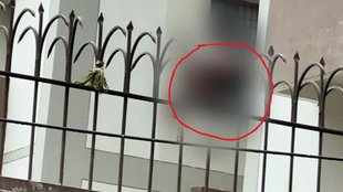 new born baby dead body