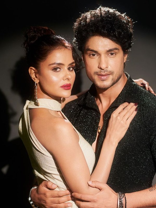 Priyanka Chahar Choudhary, Ankit Gupta