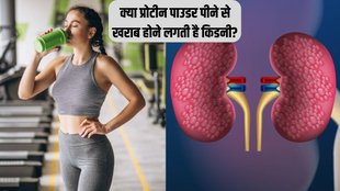 protein powders । protein powders damage kidney । kidney damage