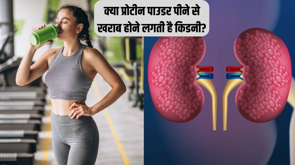 protein powders । protein powders damage kidney । kidney damage