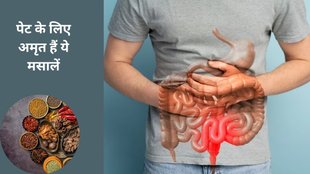 digestion improve,spice for healthy gut, gut health,how to improve gut health,Benefits Of Ayurveda Powder, Home Remedy For Good Health, Fennel seeds, celery, turmeric,