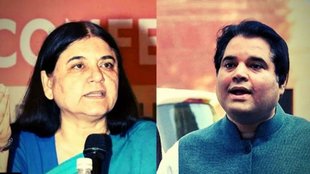 lok sabha chunav, varun gandhi