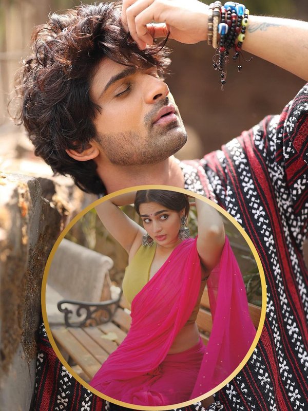 Bigg Boss, Bigg Boss Fame Abhishek Kumar, Abhishek Kumar on Marry with Ayesha Khan