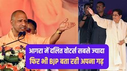 दलित वोटर्स की संख्या 30% फिर भी आगरा कभी नहीं जीती बसपा, पिछले तीन चुनावों में BJP ने फहराया परचम, जानिए इस बार किसका पलड़ा भारी