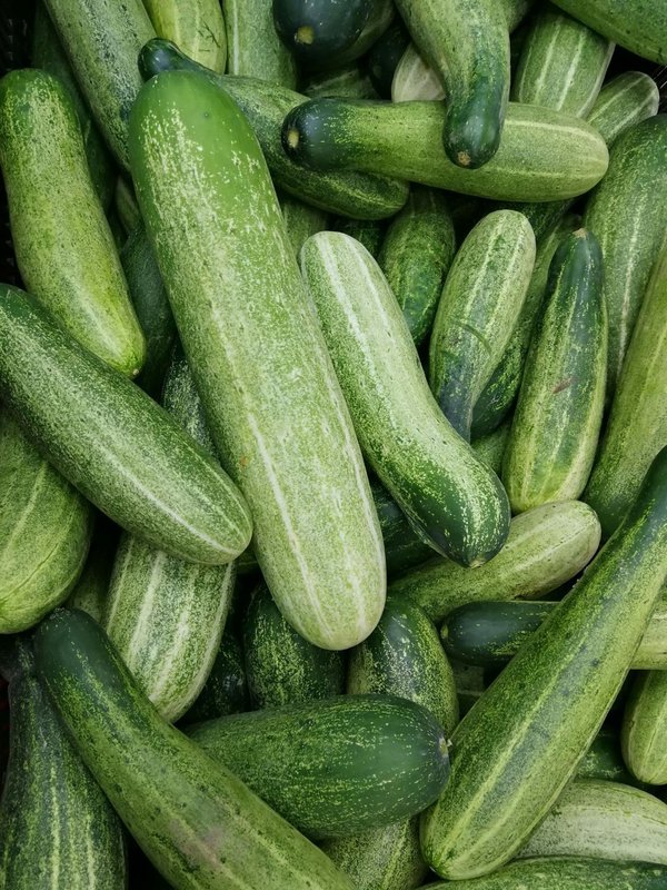 Benefits Of Eating Cucumber