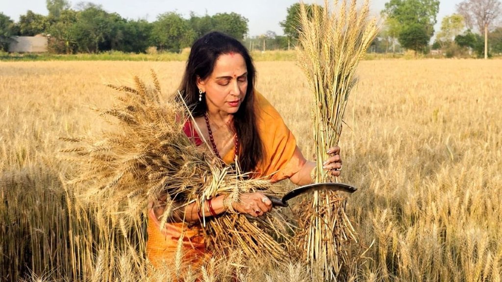 Hema Malini, Loksabha Election 2024