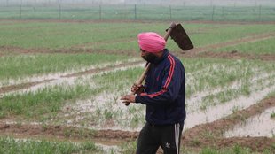 IMD, IMD Rain Forecast, Weather Forecast